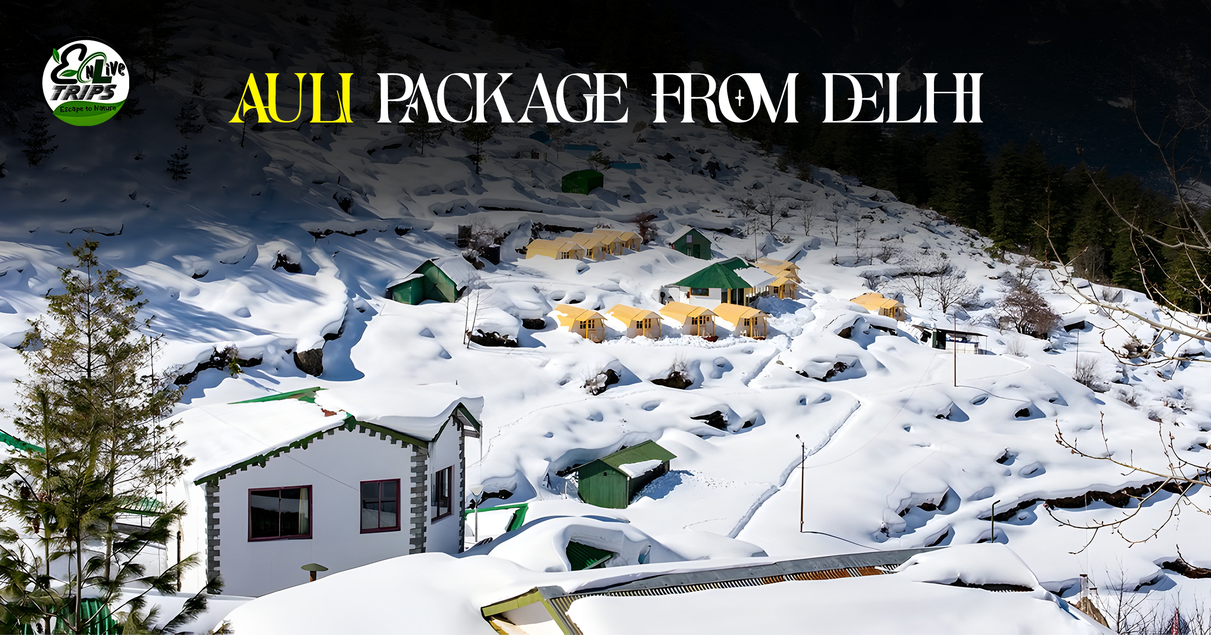 Auli hill station: Need to Know Everything Before Selecting Auli Tour, best time to visit in Auli